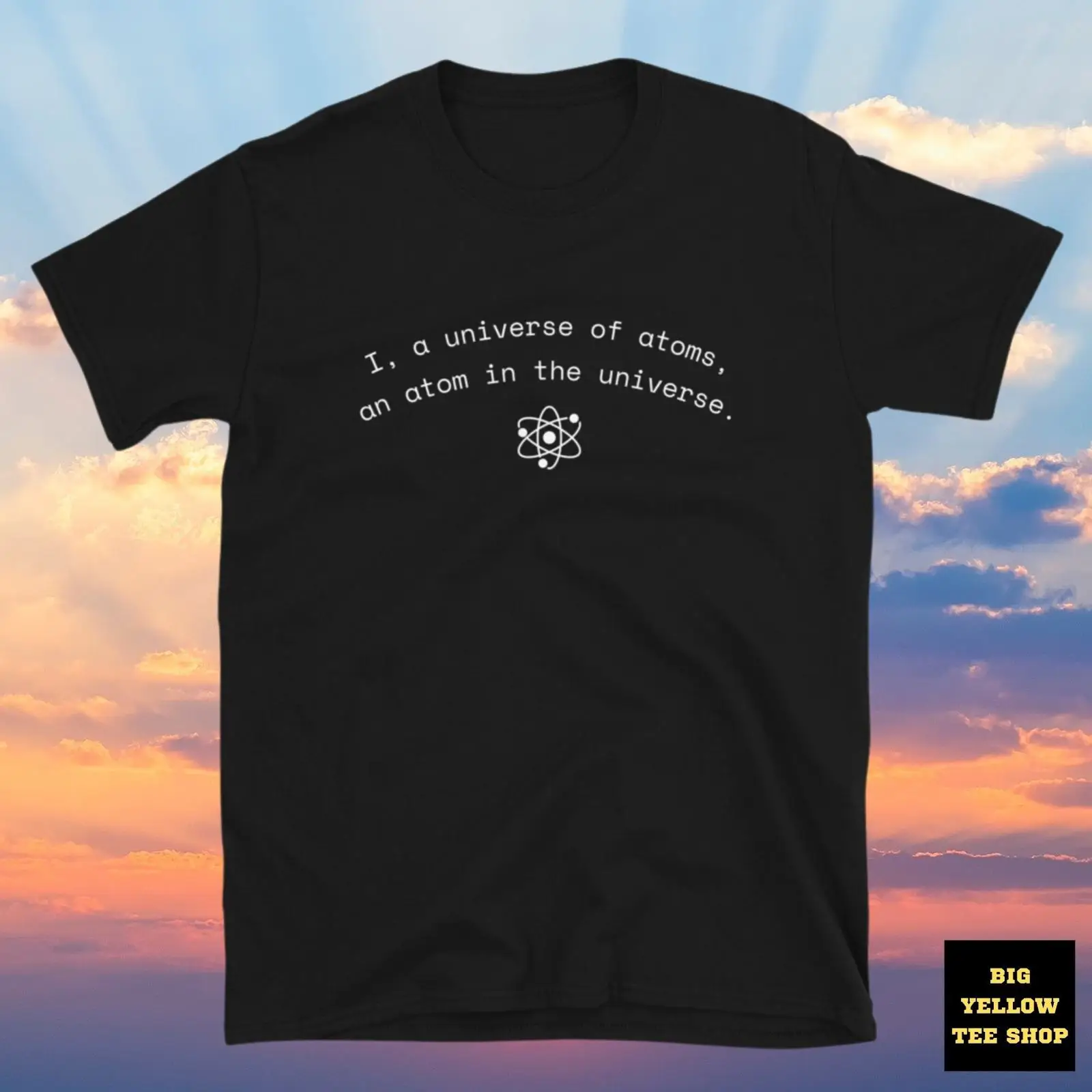 Richard Feynman Quote 'Ik ben  - Vintage Fashion Quotes recensie en prijs